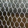 Hexagonal wire netting